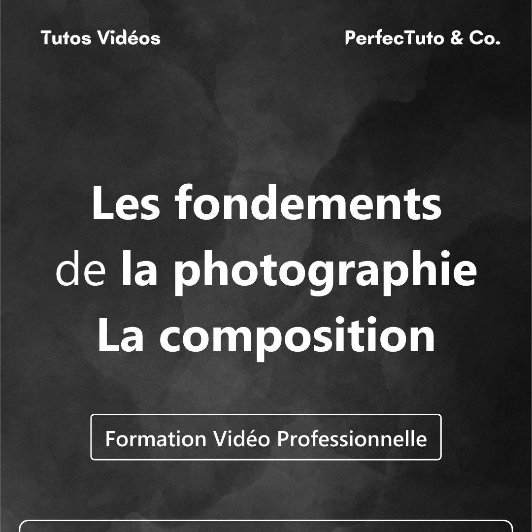 Les fondements de la photographie : La composition_0