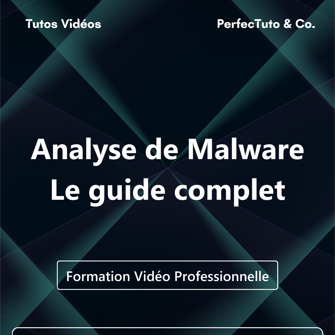 Analyse de Malware – Le guide complet_0