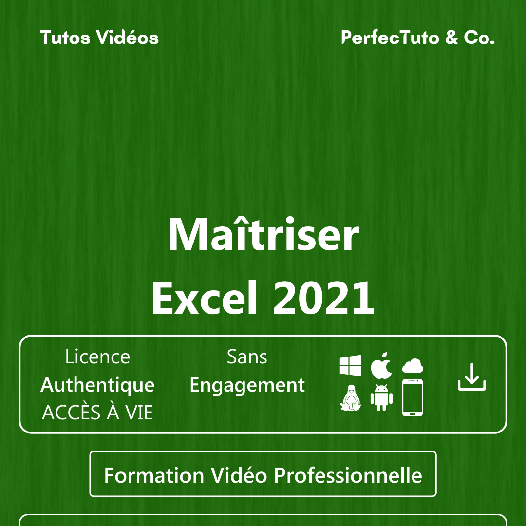 Maîtriser Excel 2021_1