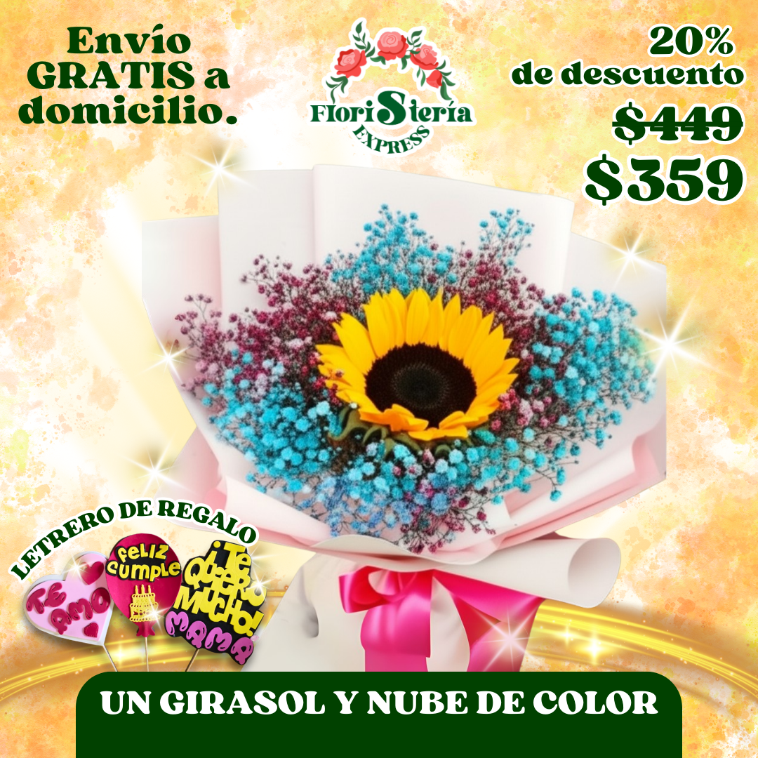 Un girasol y nube de color_0