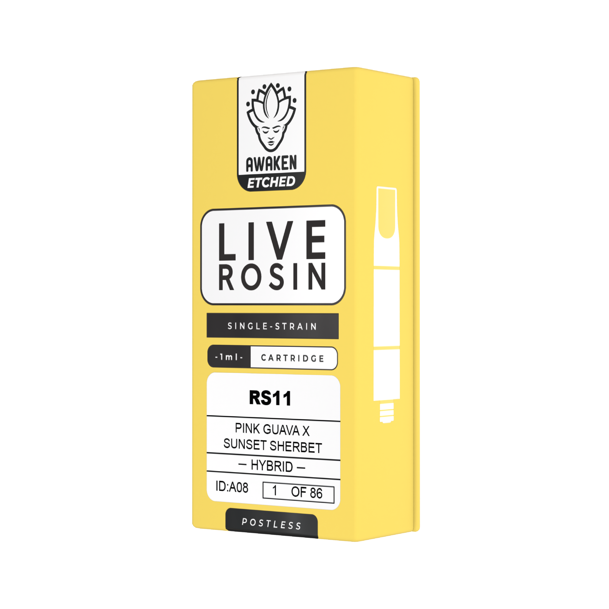 RS11 - Live Rosin 1/86_1