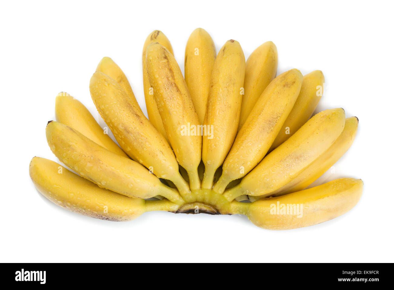 table bananas_0