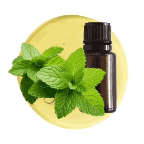 Menta piperita aceite esencial 10ml_0