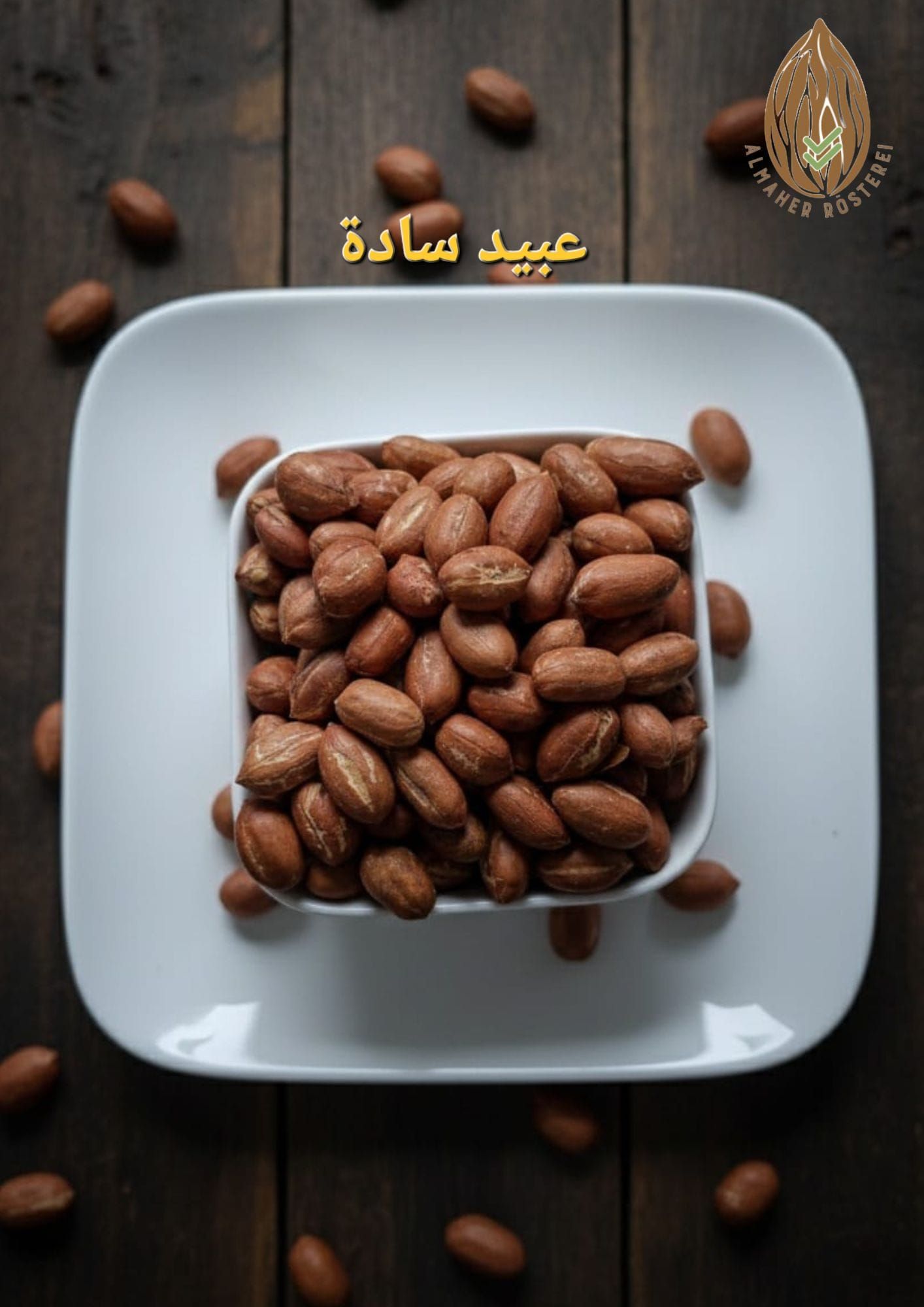 عبيد سادة_0