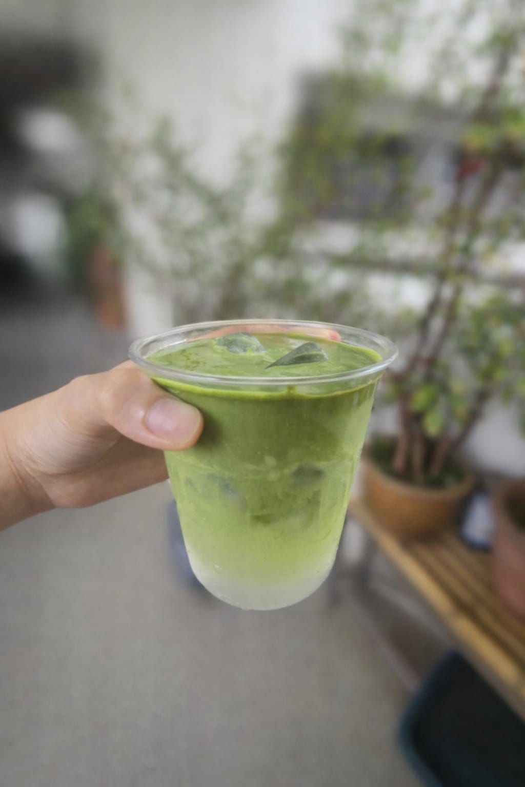 Coconut Matcha Cloud_0