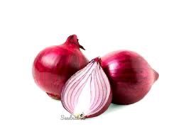 Ceba Morada d´Amposta_0