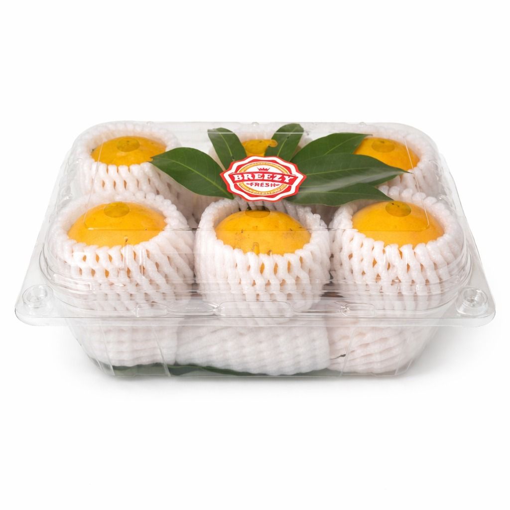 ماريان بلوم – تايلاند (علبة 500 جم) / Marian Plum – Thailand (500g pack)_0