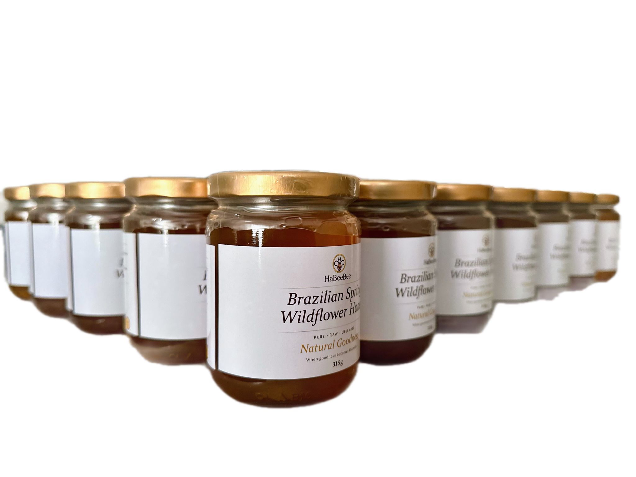 Brazilian Spring Wildflower Honey_2