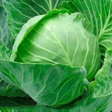 Col Valenciana (col llisa)_0