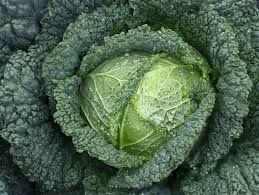 Col Melisa ( col rissada mitjana 80dies)_0