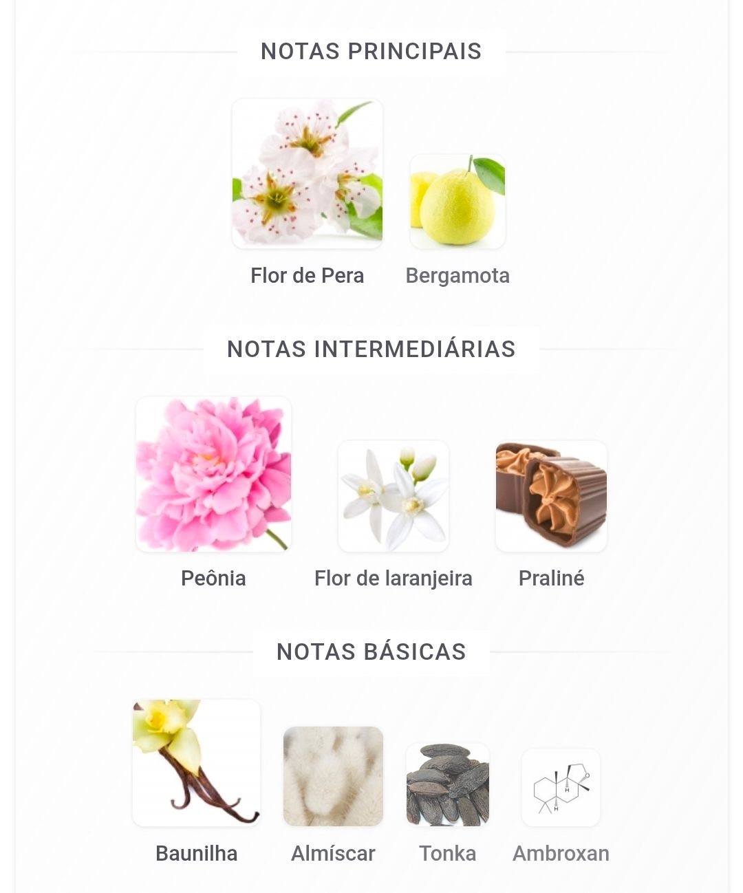 Angham Second Song_2