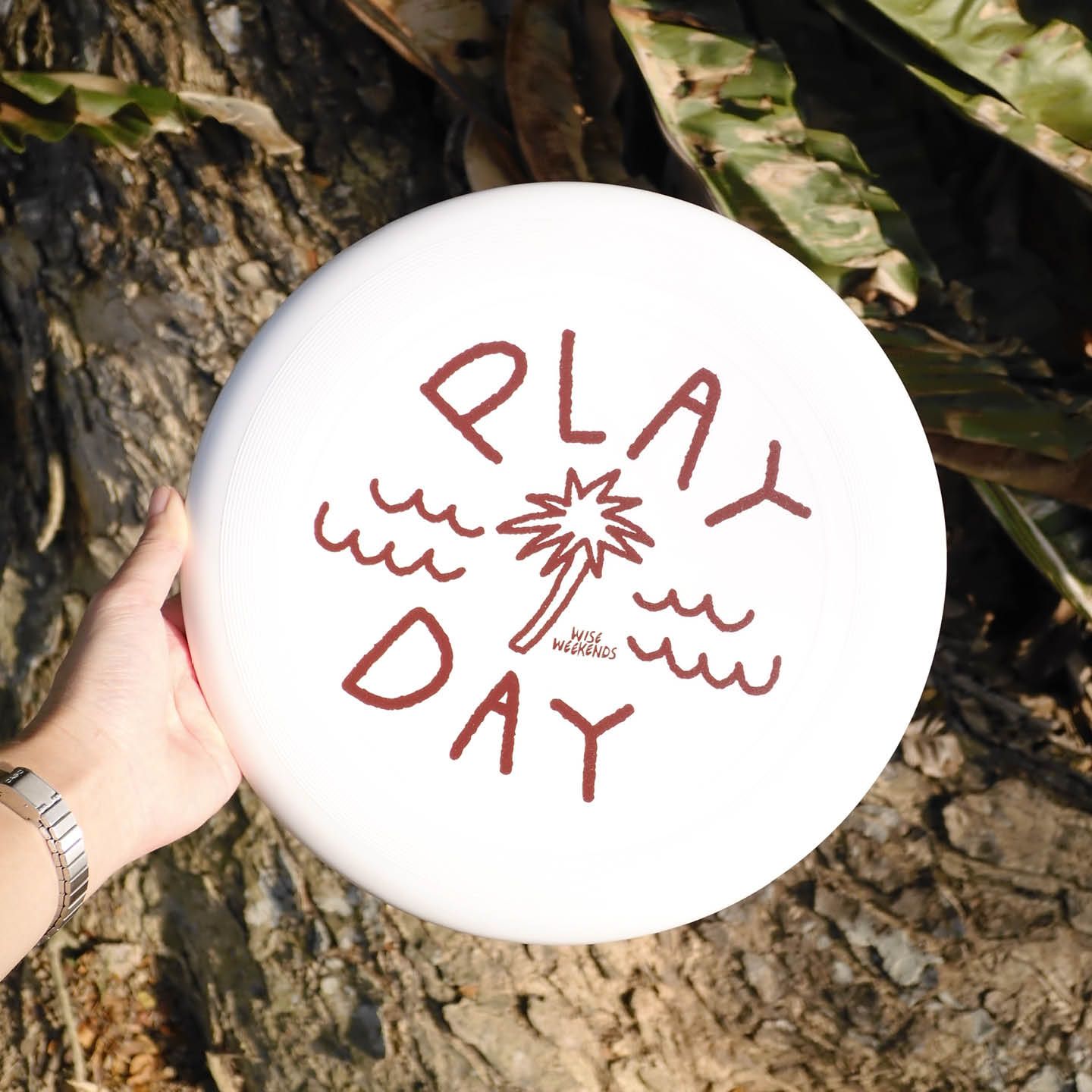 PLAY DAY frisbee _8