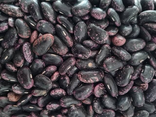 Black butter beans_0