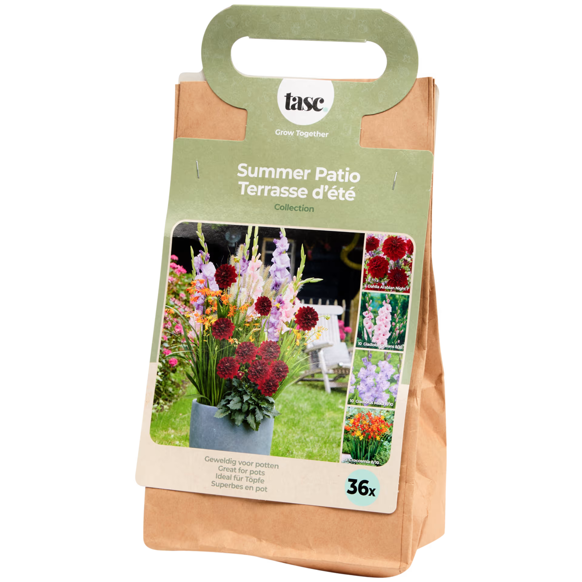 Bulbes de fleurs 12_0