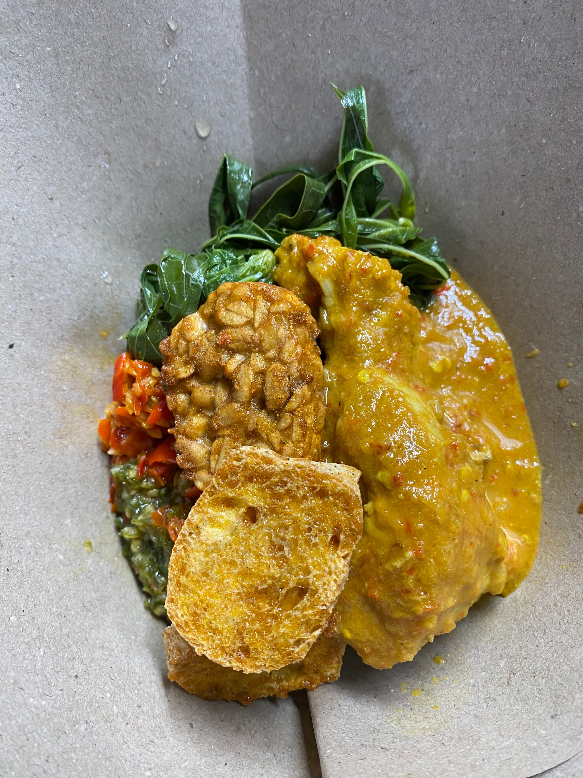 Nasi Padang Ayam Gulai _0