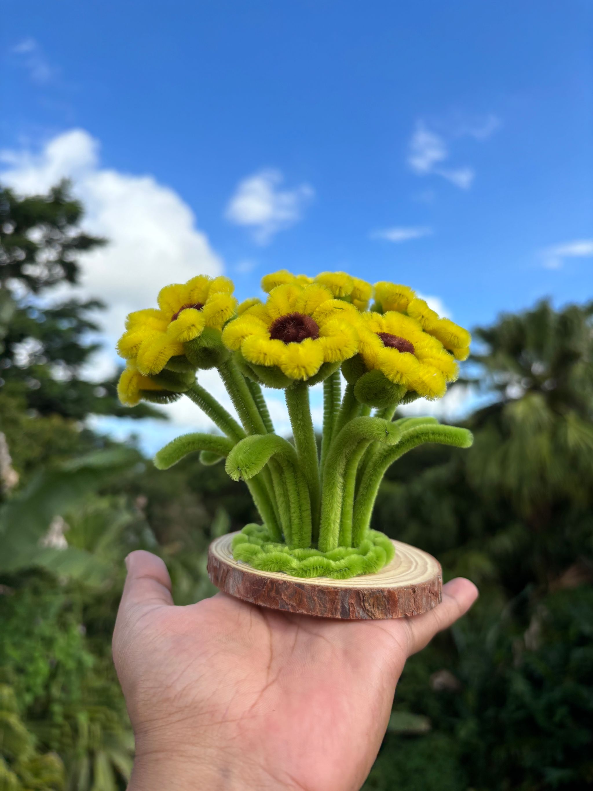 Sunflower Dreamland_2