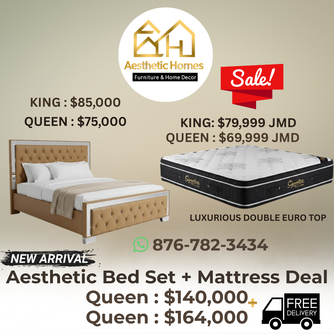 Mirrored Queen Leather Bed + Double-Sided Pillow Top Mattress_0