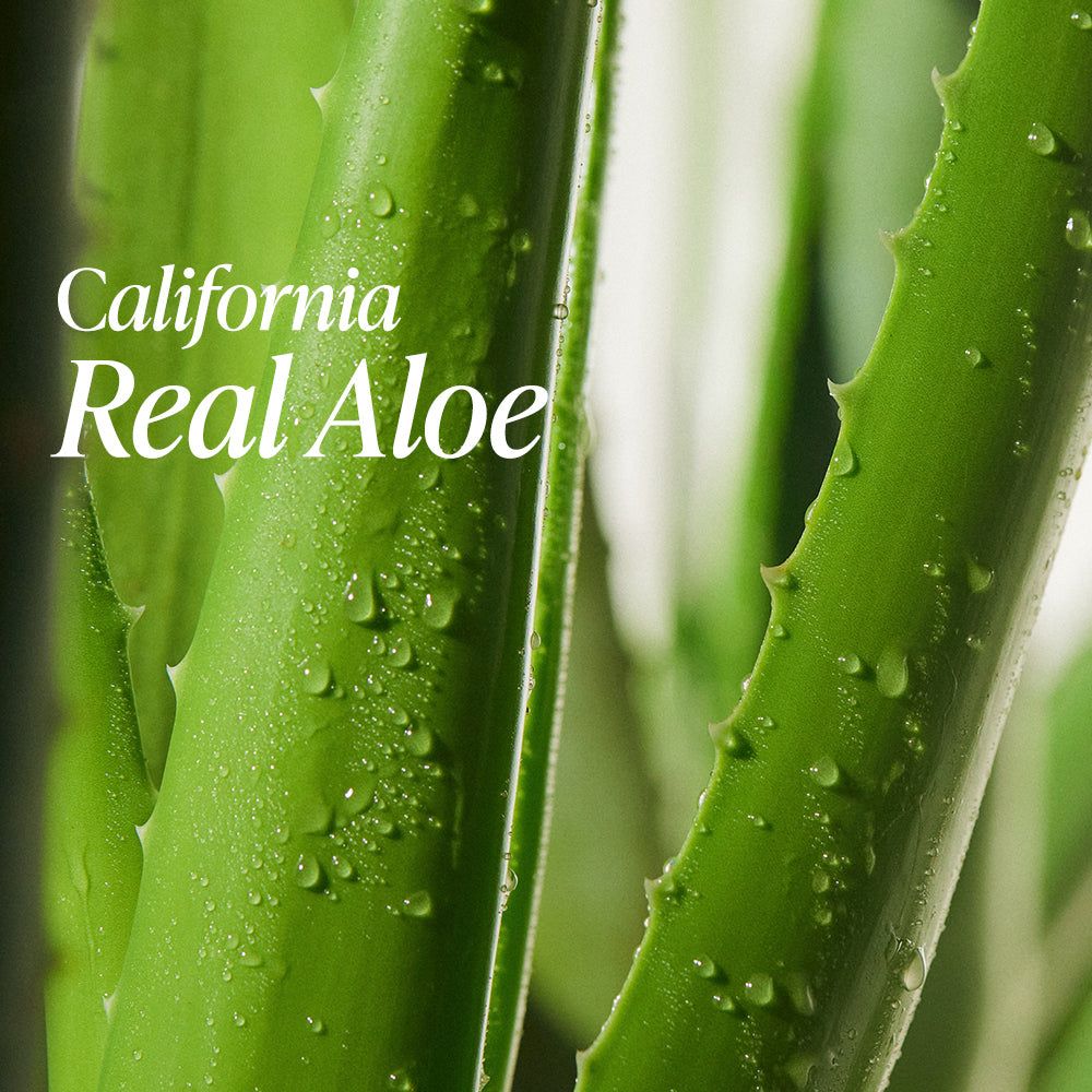 Real Squeeze Aloe Vera Cream_2