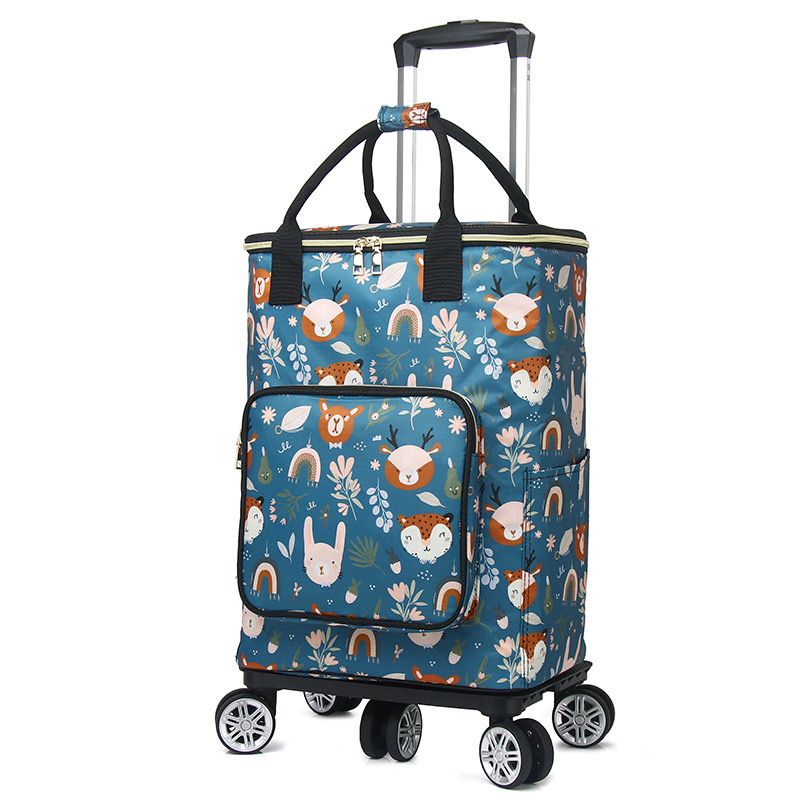 5 wheels trolley_25