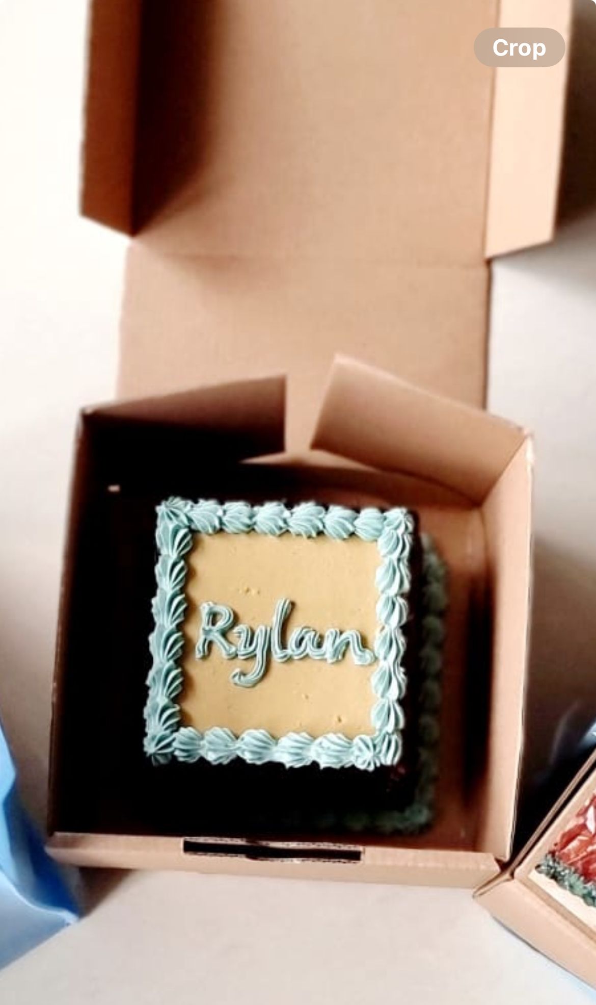 ᴍɪɴɪ ʜᴀᴍᴘᴇʀs ʙɪʀᴛʜᴅᴀʏ ᴄᴀᴋᴇs sᴢ 𝟷𝟶x𝟷𝟶 🎂 _19