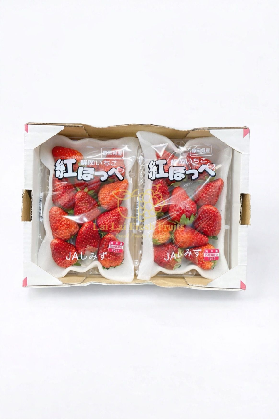 Japan Shizuoka Strawberry _0