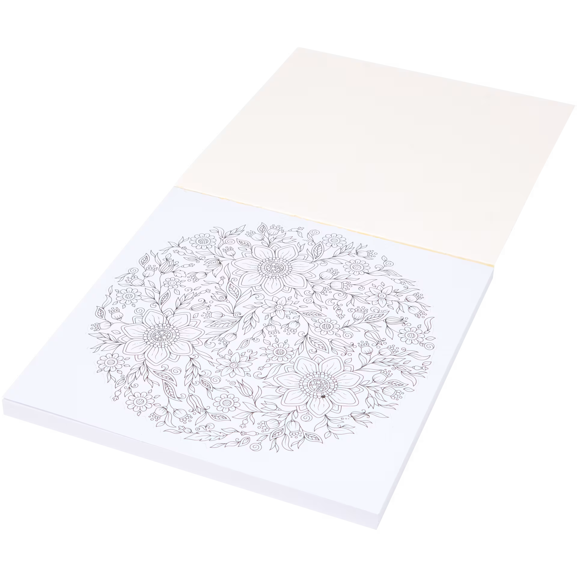 Livre de coloriage adulte et enfant 36 pages_2