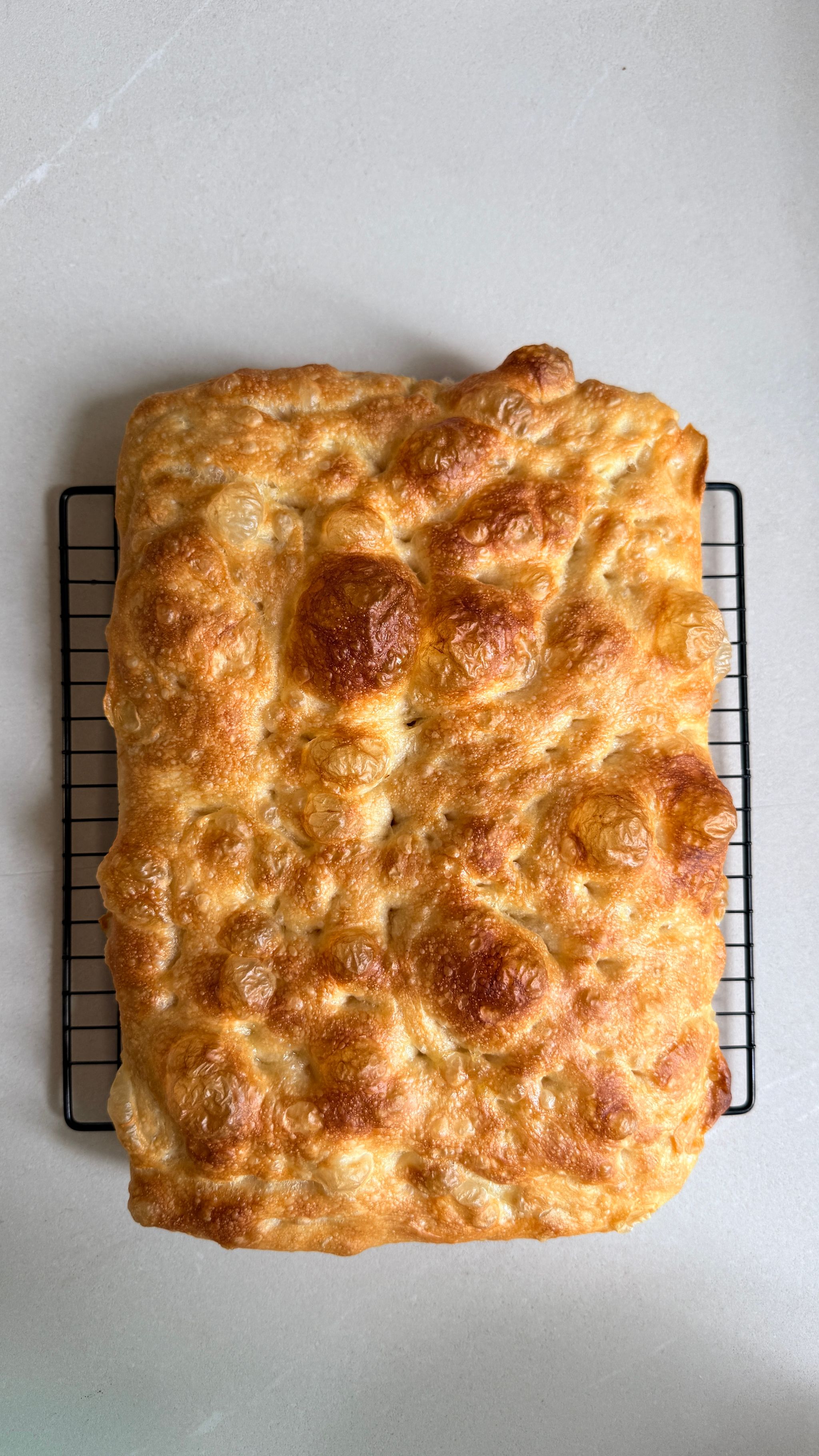 Fresh Focaccia _0