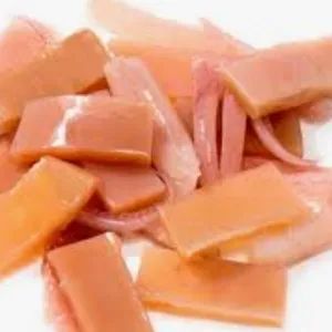 Sotong Kembang.🦑_0