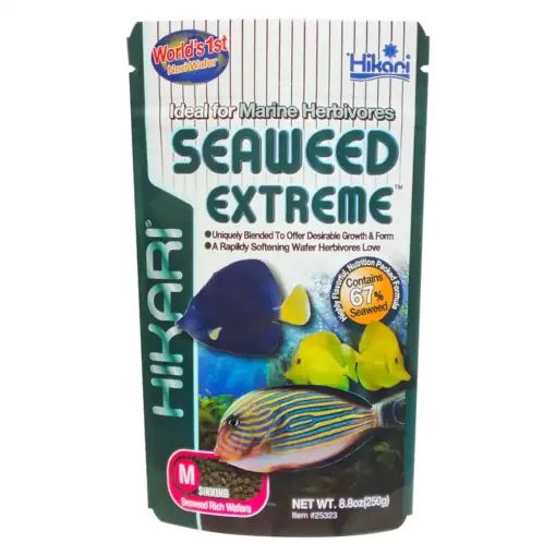 Hikari Seaweed Extreme_4
