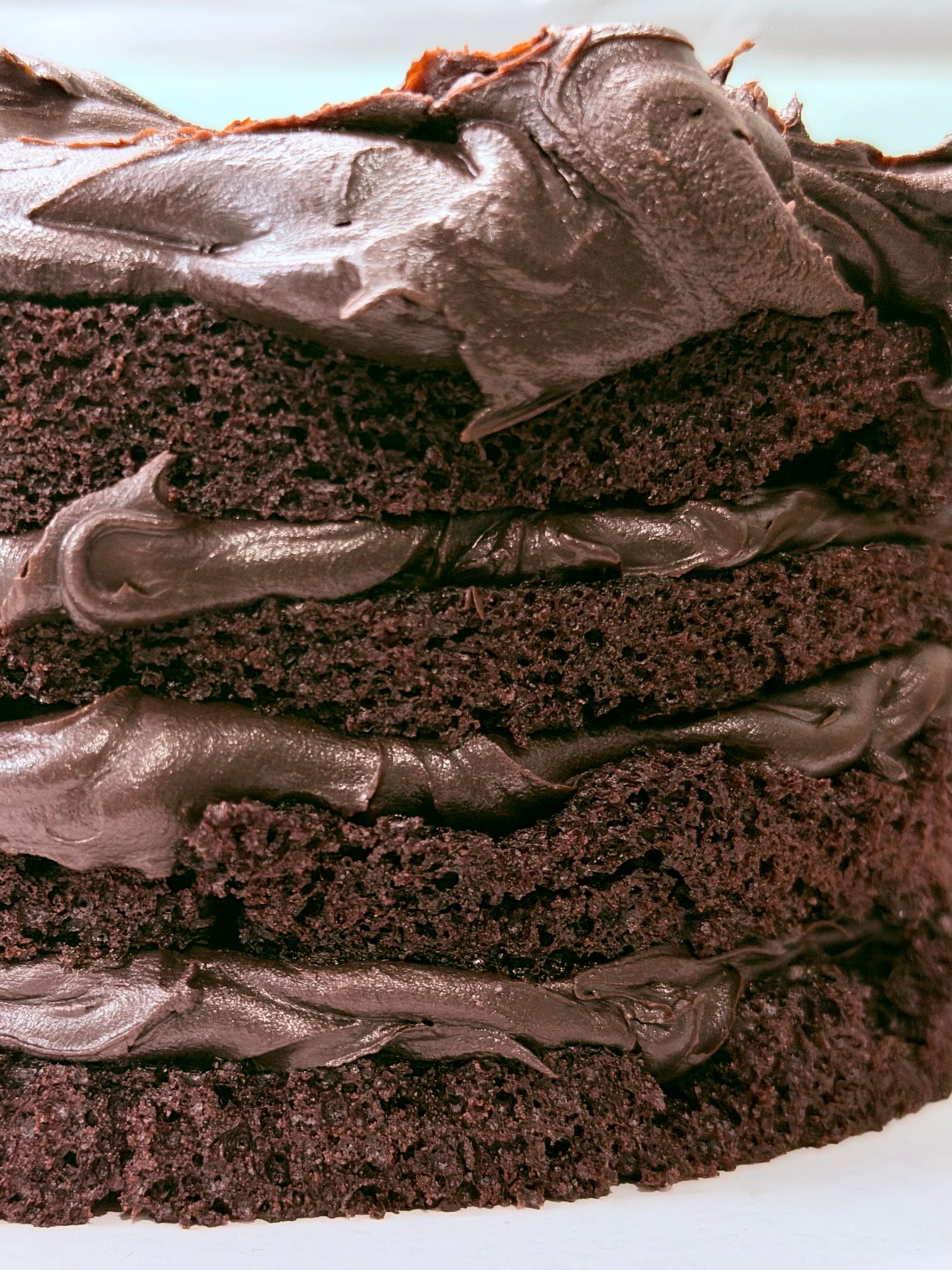 Espresso Ganache Dark Chocolate Cake_1