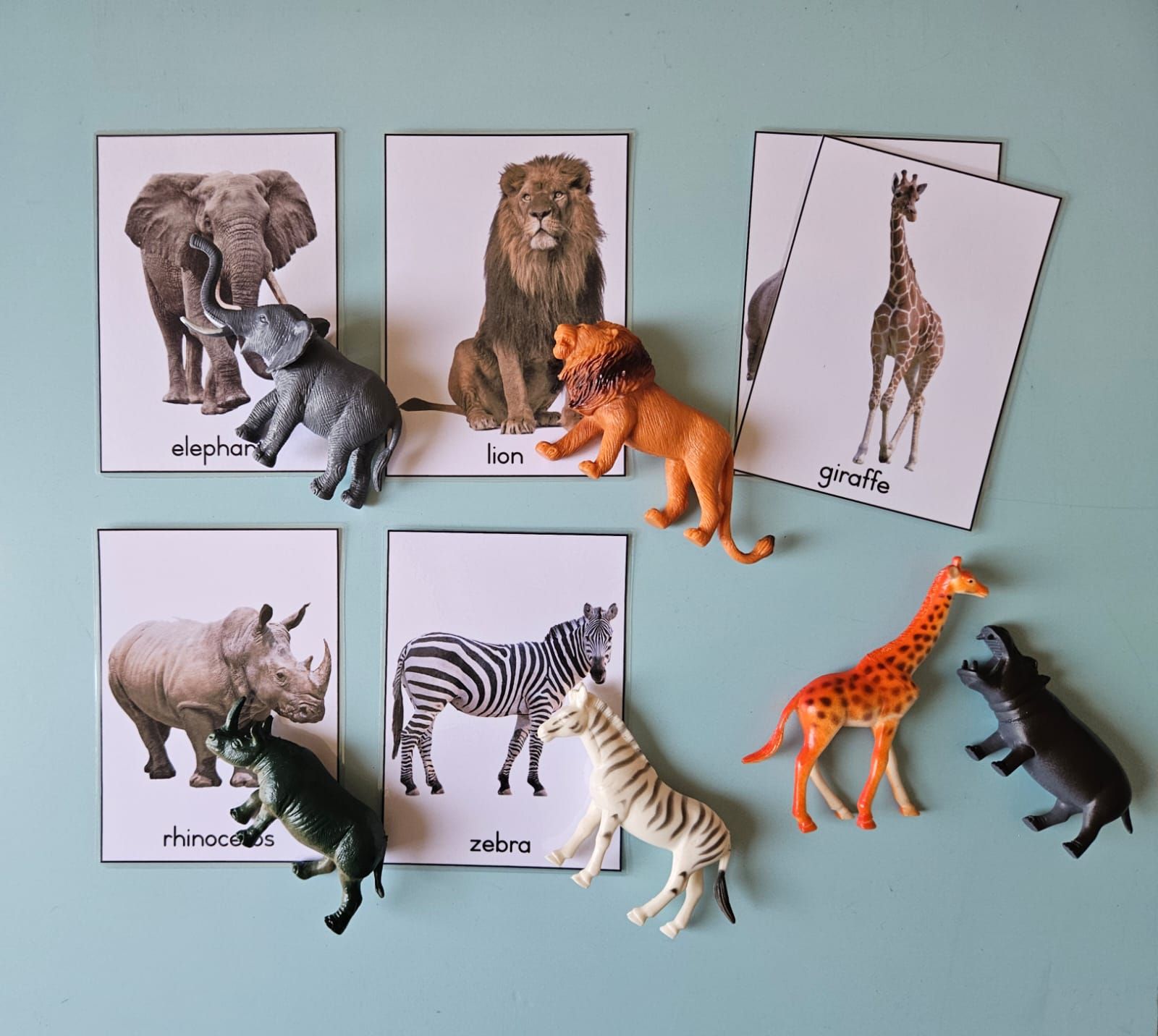 Object - Card Matching Set - Large Wild Animals_0