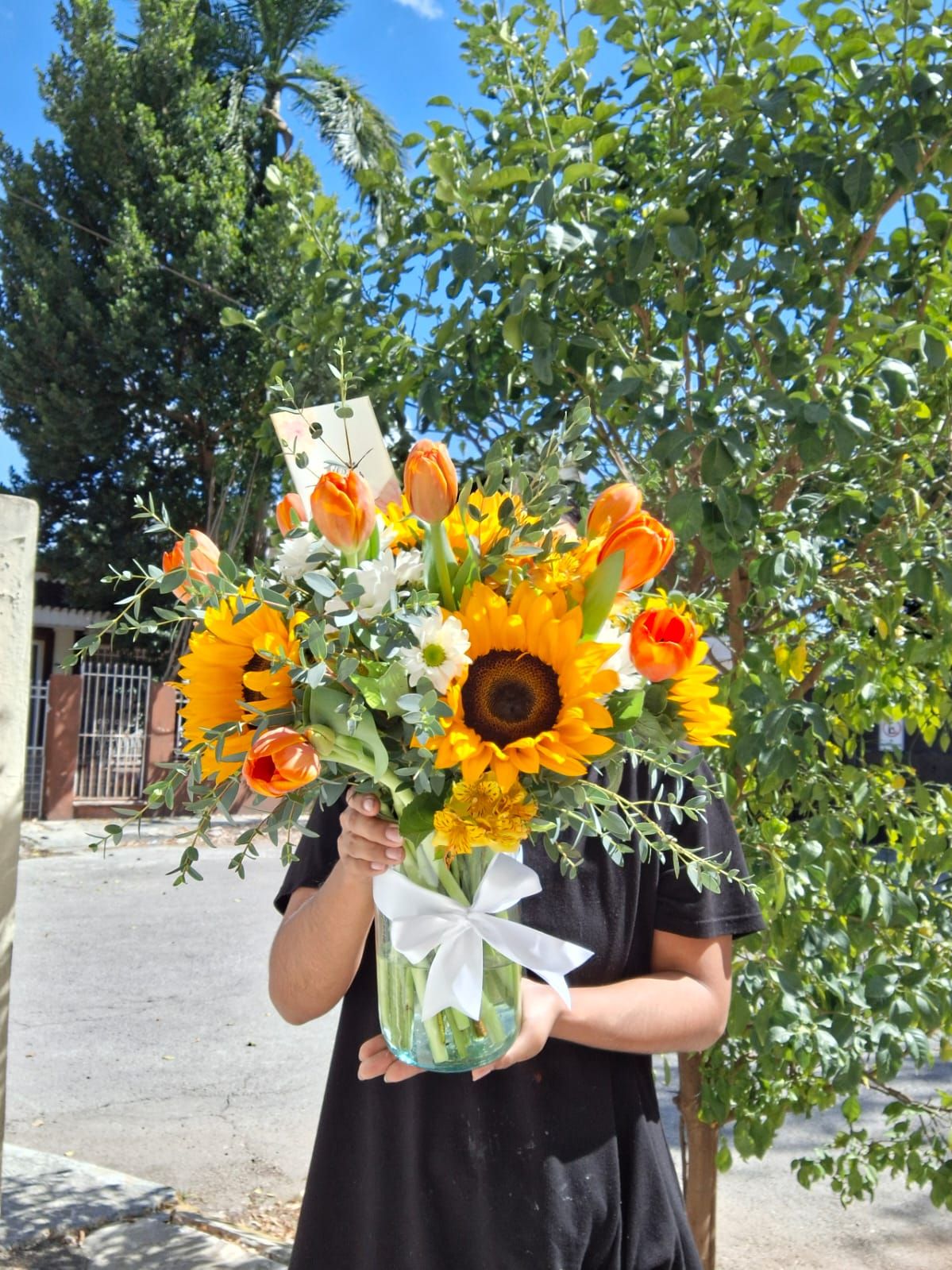 Jardín Radiante en Jarrón_1