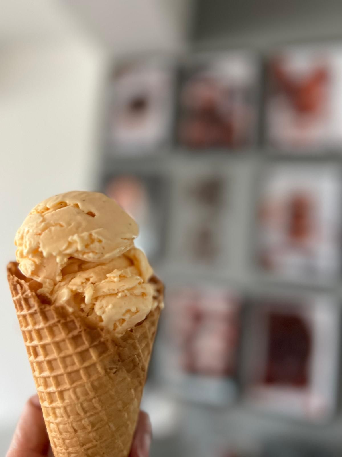 Vanilla Bean Ice Cream_0