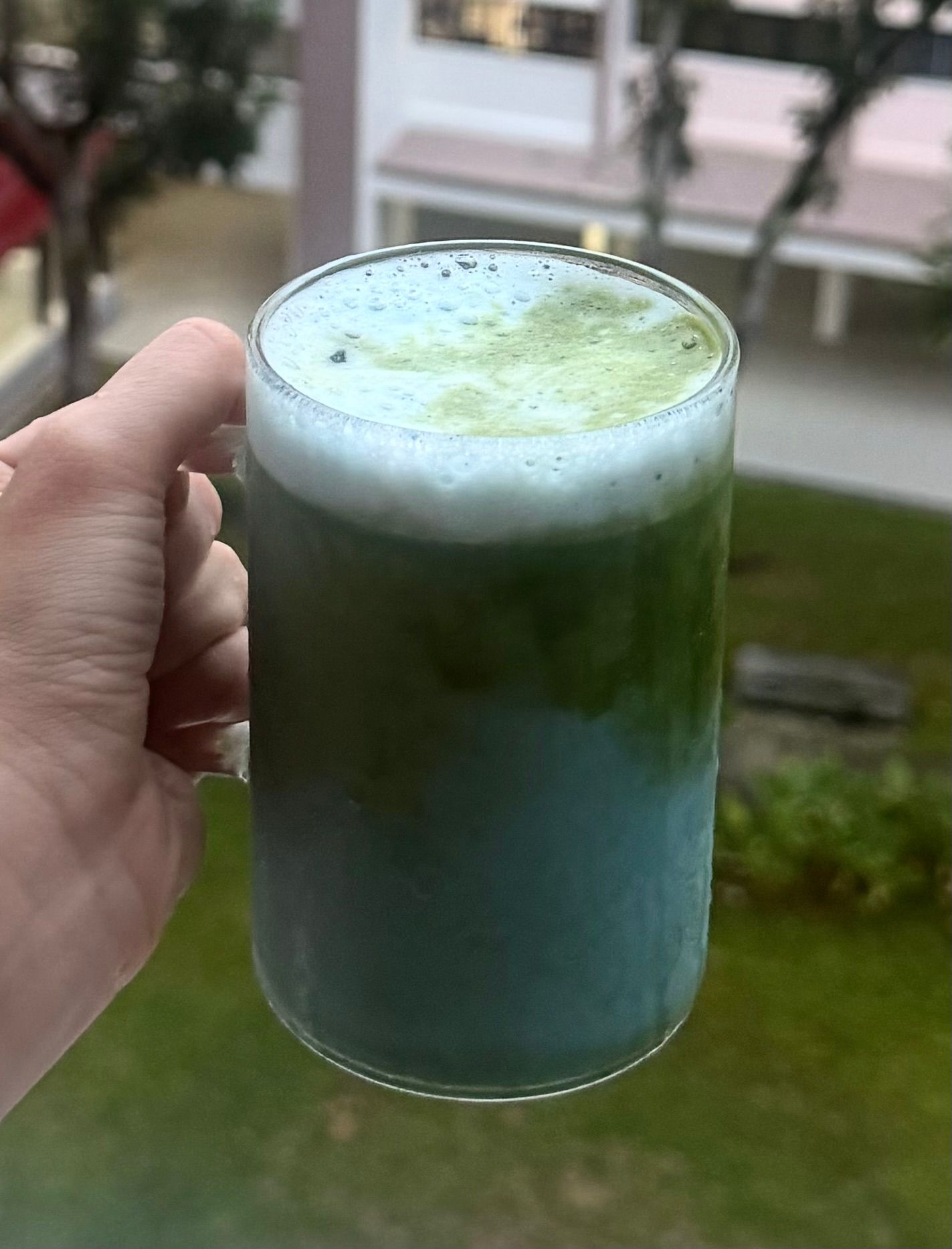 butterfly pea matcha 🌍_0