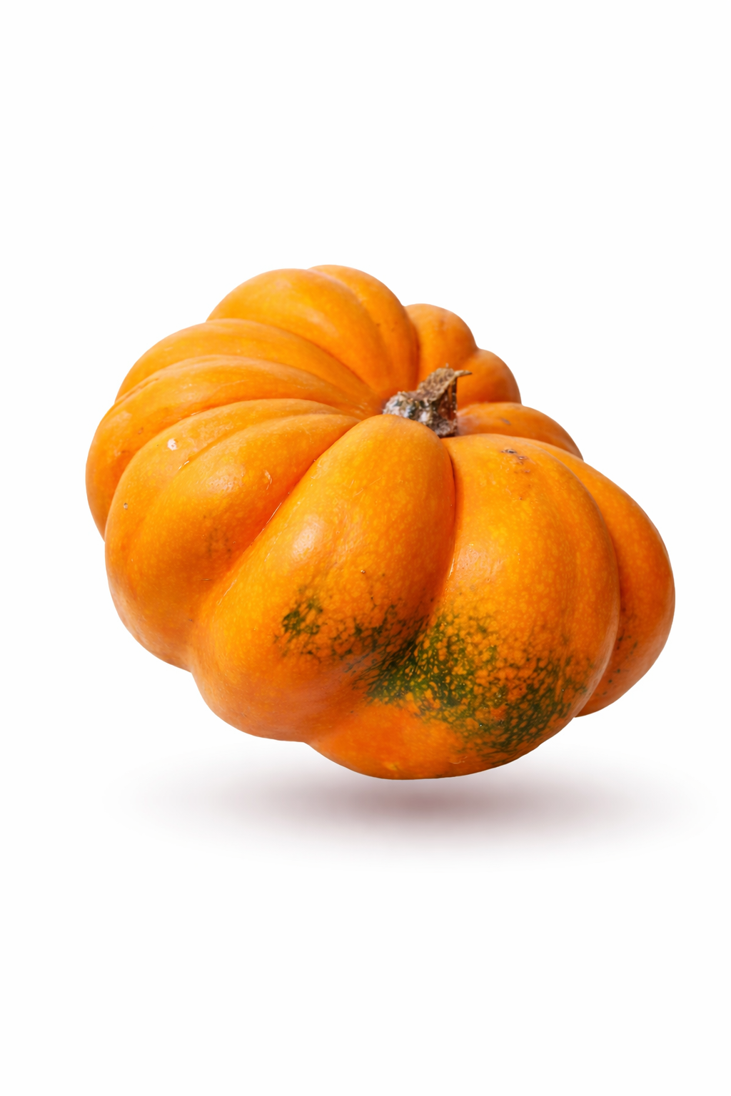 Acorn squash x 6 seeds _0