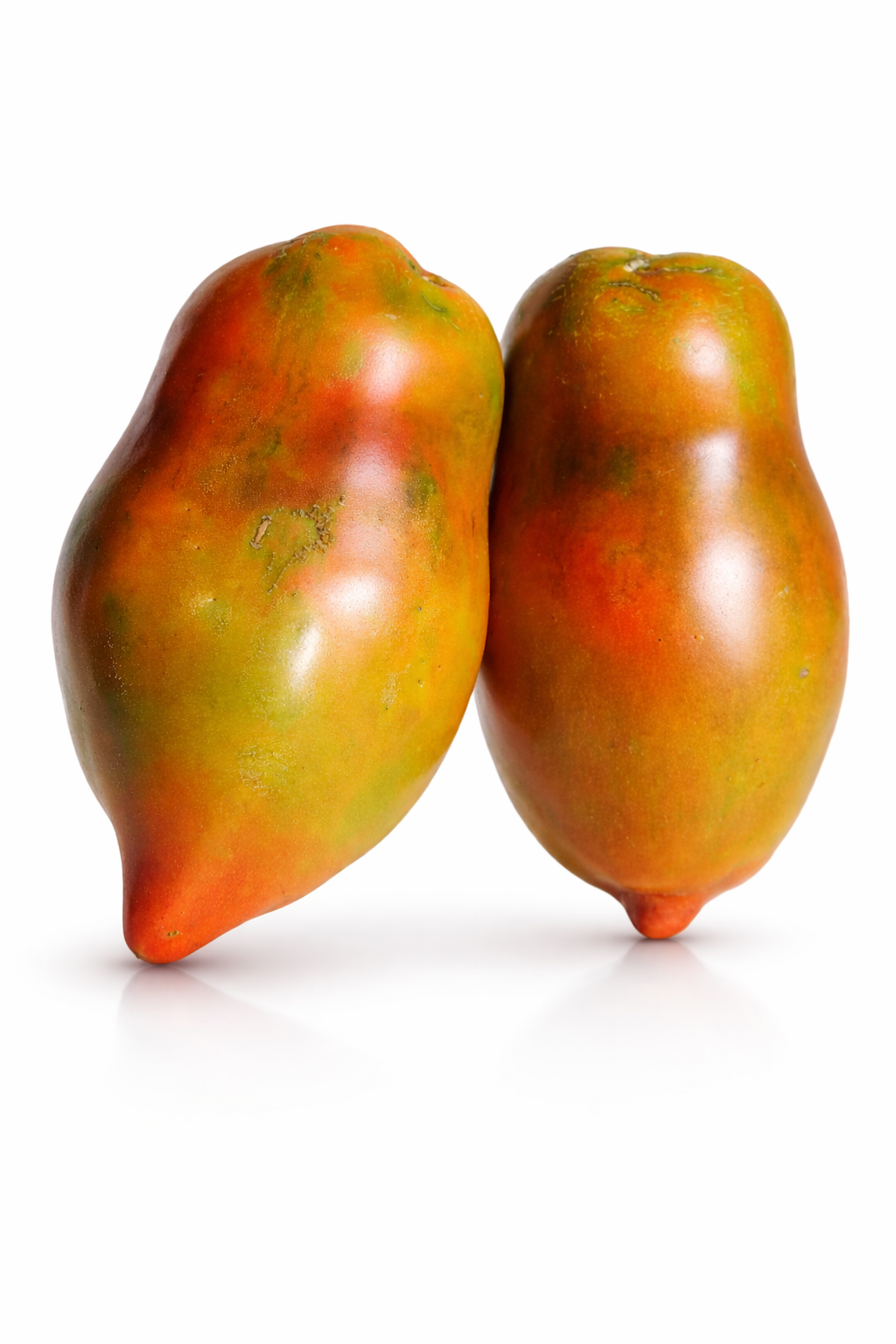 Abbattista paste tomato x 10 seeds⁸_0