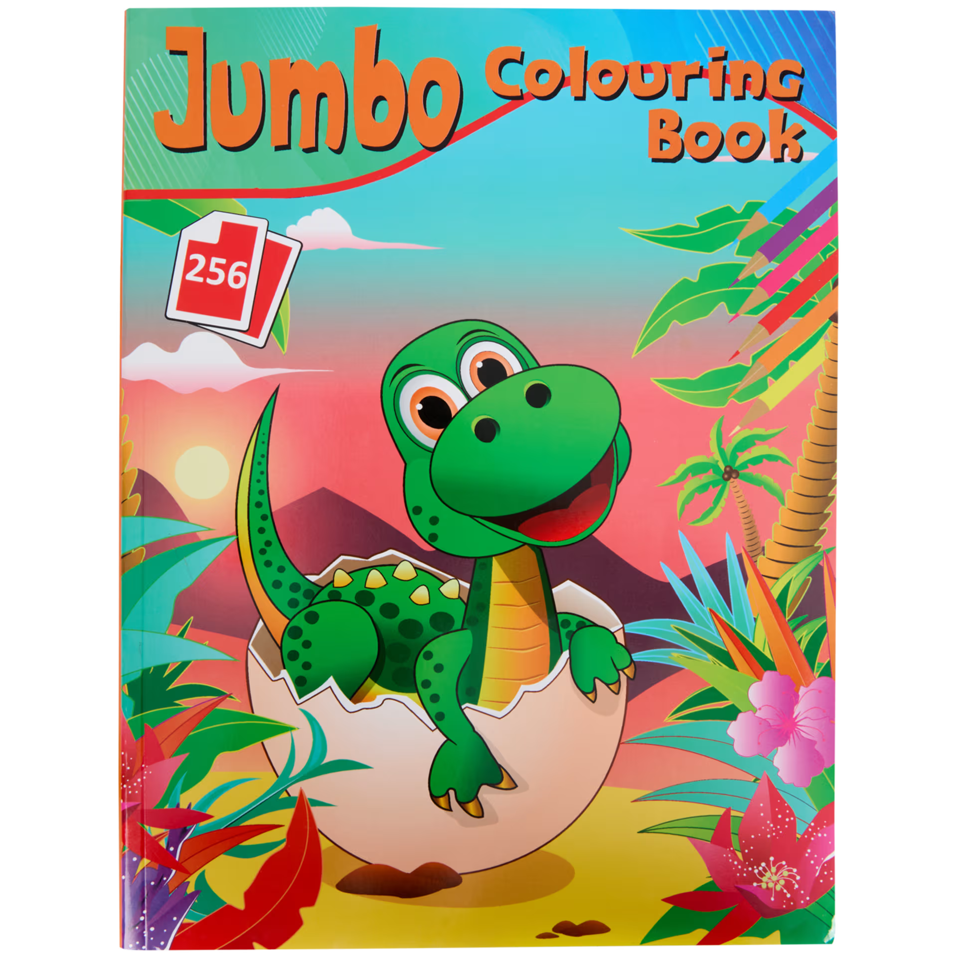 Livre de coloriage Jumbo 256 pages_1