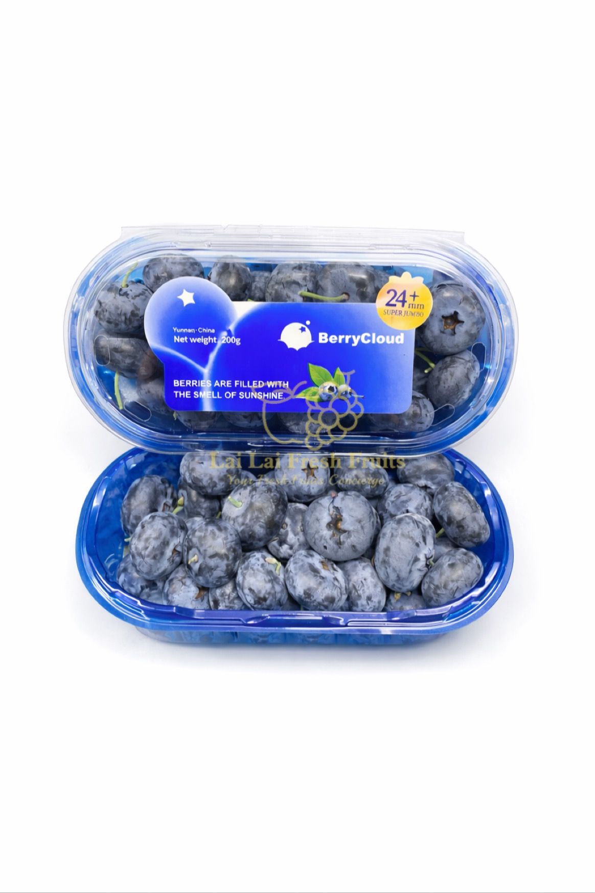 China Super Jumbo Blueberry_0