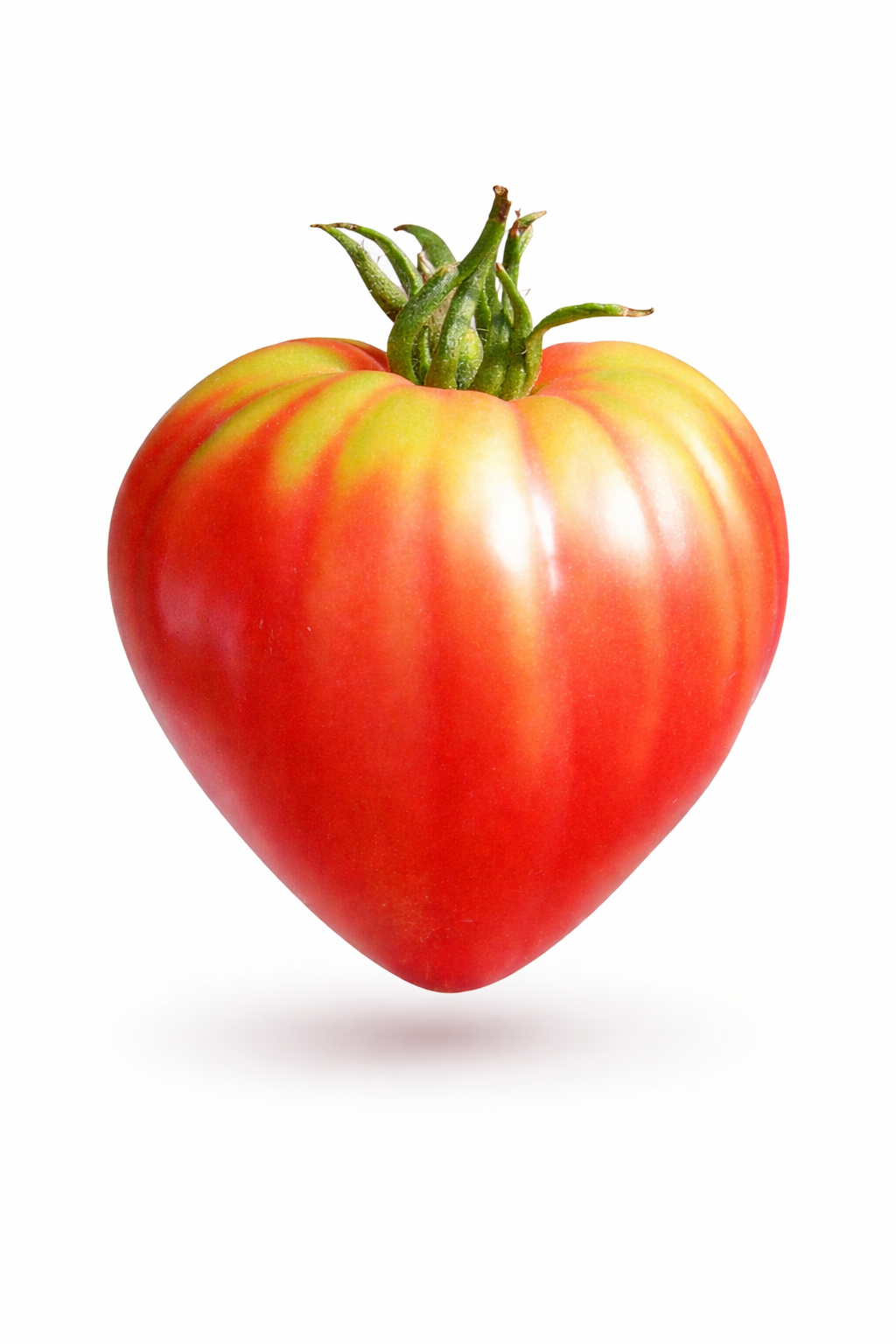 🍅OX HEART TOMATOES🍅 x 15+ seeds_0