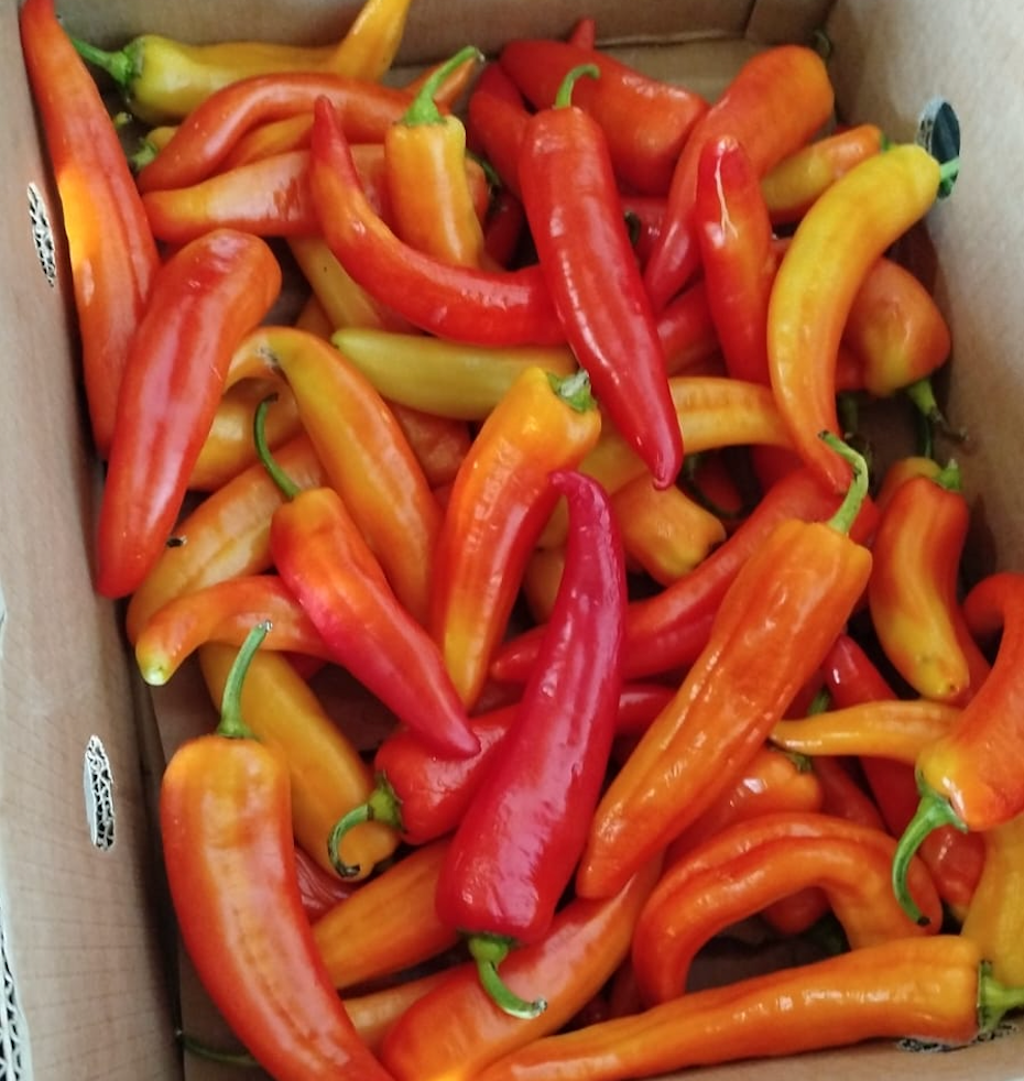 ¡2x1 Ají Inferno Color 250 grs! (Consumo Inmediato)_0