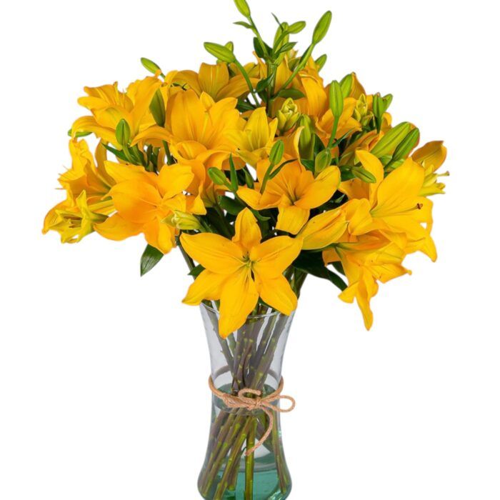 🌼 Lilium Amarilla | Florero con 10 Lilis Frescas_0