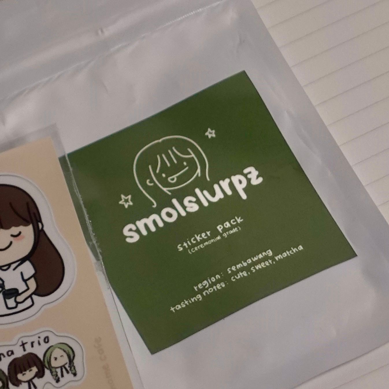 sticker pack (18pc)_1