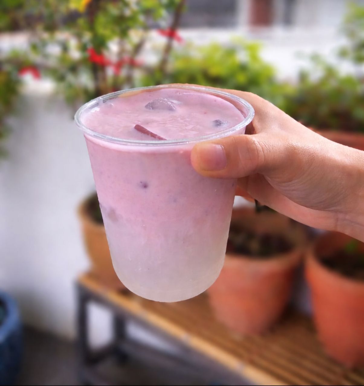 Student Coconut Strawberry Cloud_0