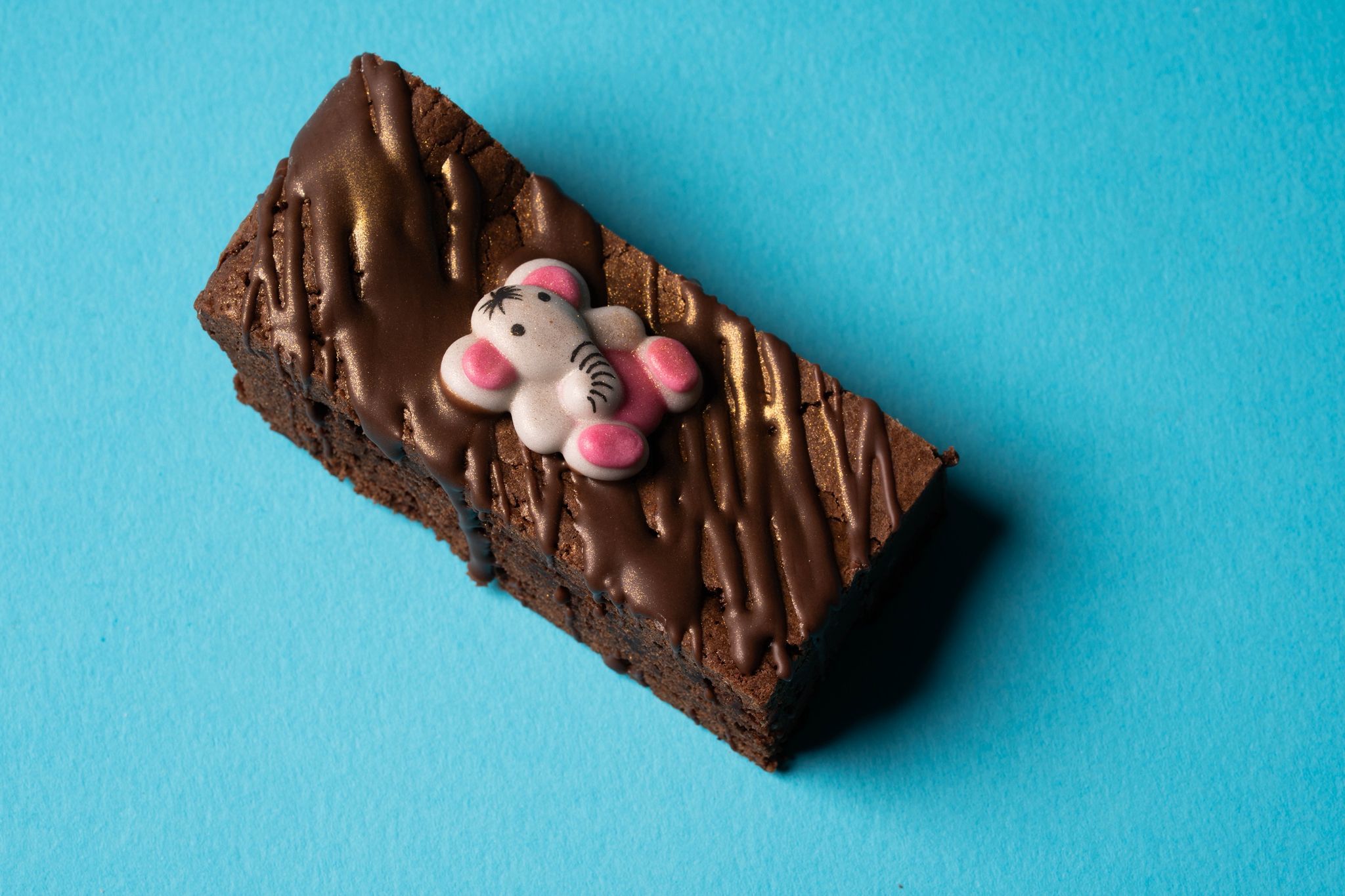 Animal themed Brownies_1