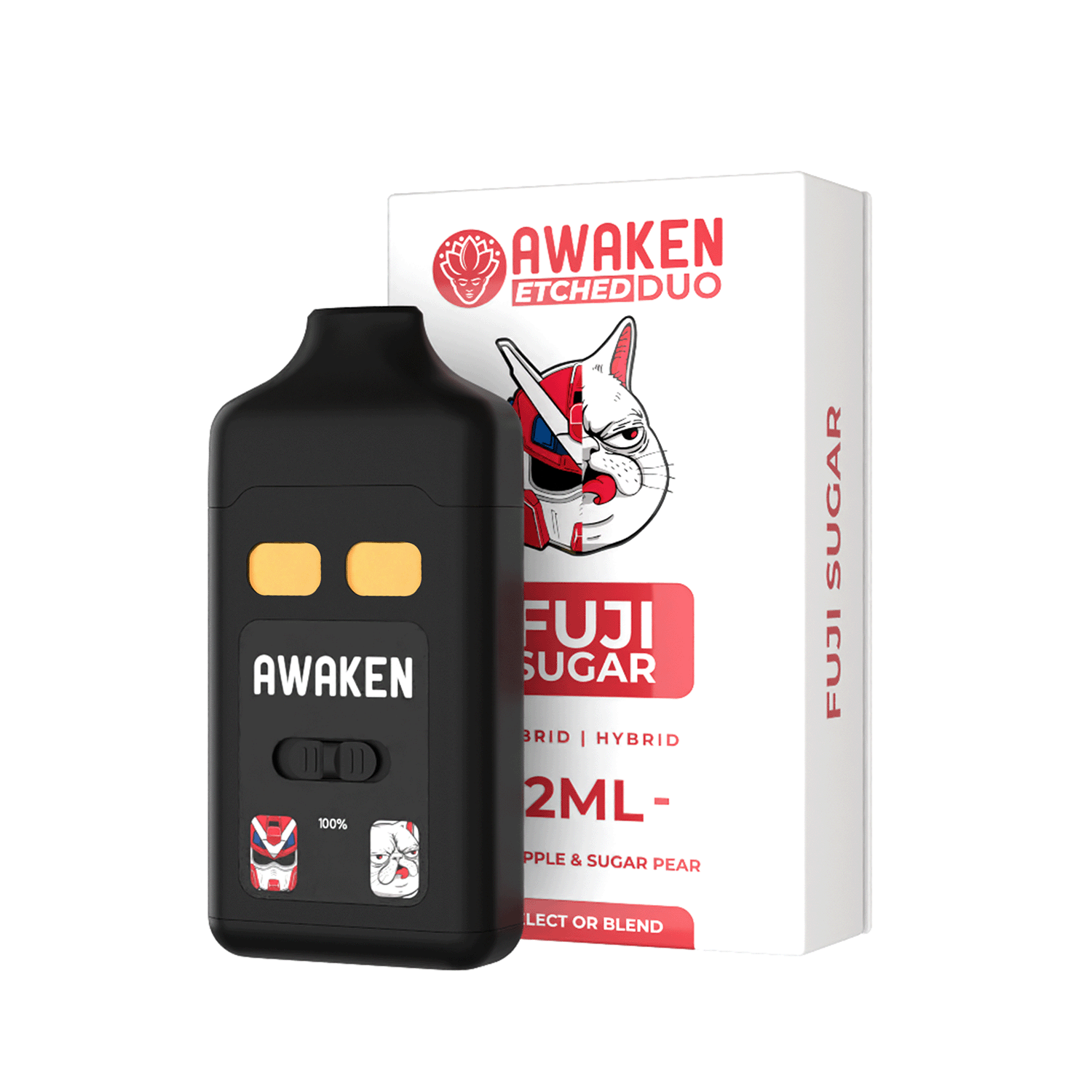 Fuji Sugar | ETCHED DUO_6