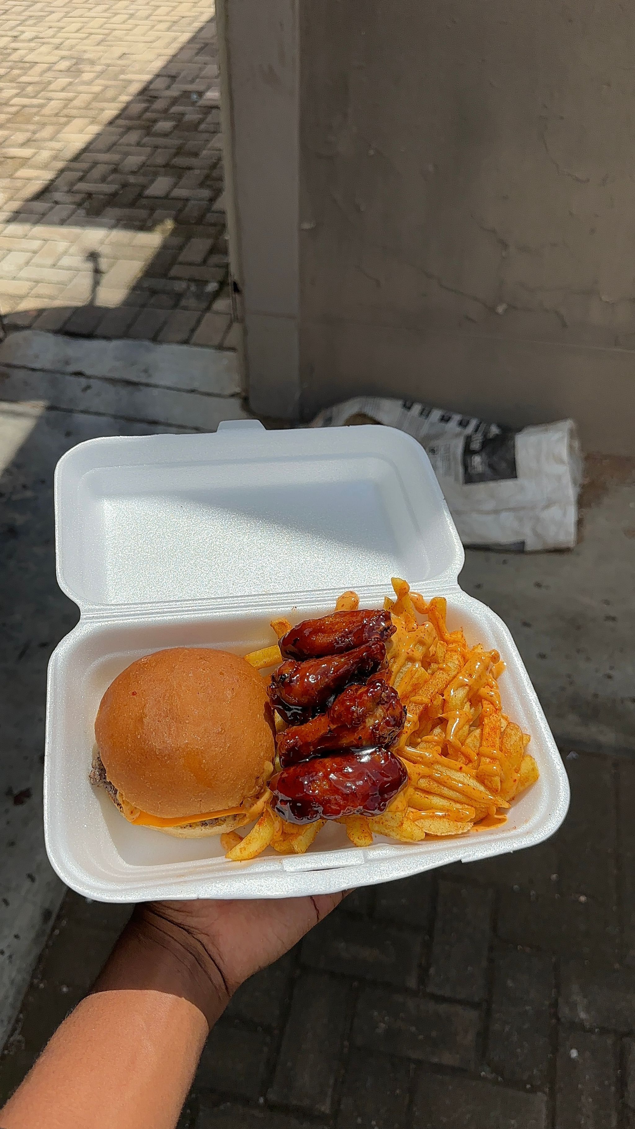 Burger+Regular fries+Four Wings_2