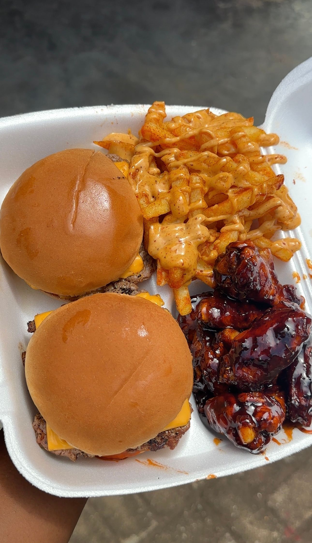 Regular platter + Eight dunked wings_2