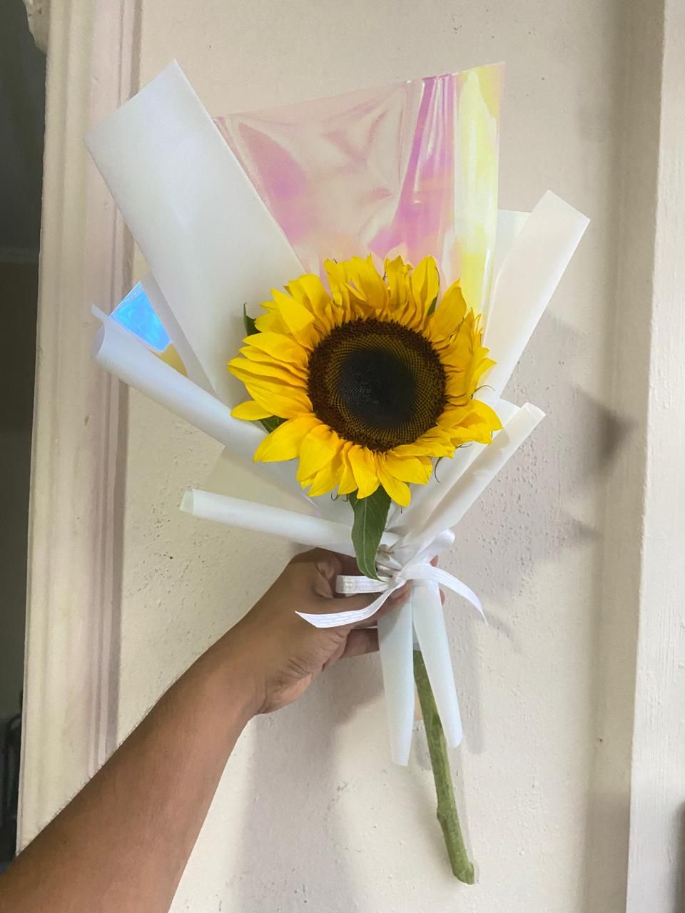 Girasol individual _0