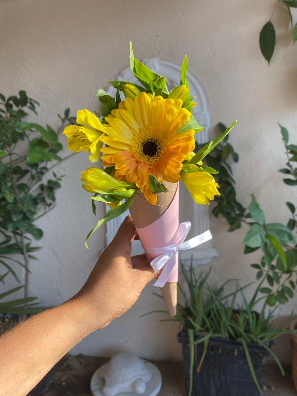 Conito de gerbera amarilla _0