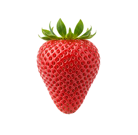 Best Quality Hybrid Strawberry_0